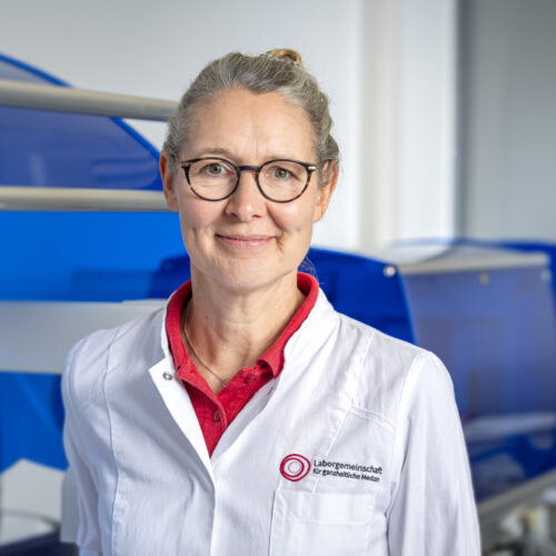 GiL-2026-6284 Kathrin Thies
